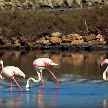 1linepanorama - Euromarinatower Apartment